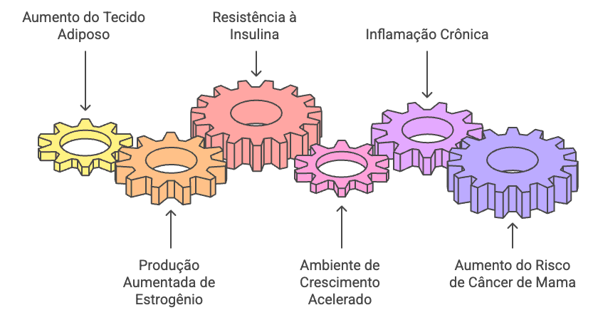 Fluxograma: Efeitos da obesidade no ambiente celular e risco de câncer de mama.