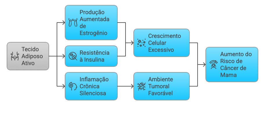 Fluxograma: Cadeia de eventos da obesidade ao câncer de mama (estrogênio, inflamação e crescimento celular).