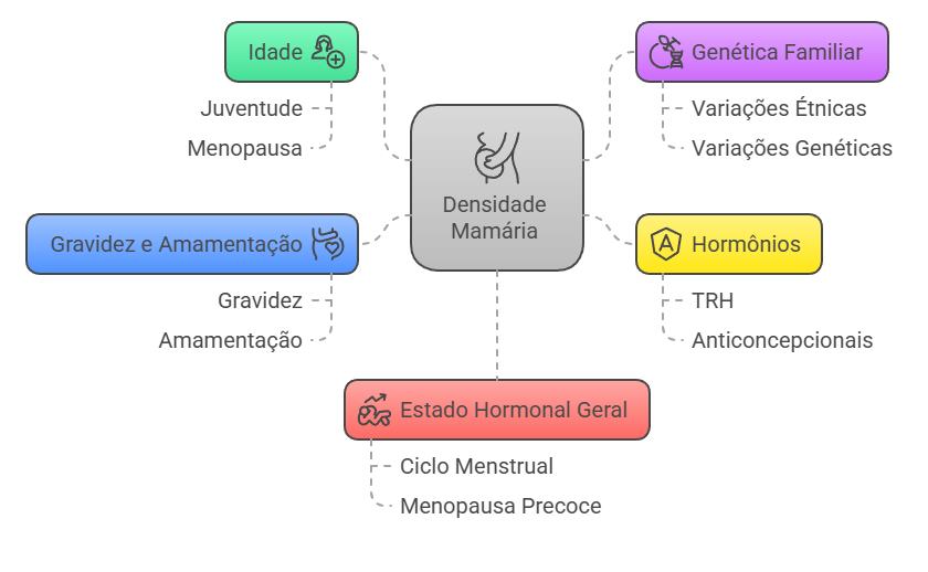 Fluxograma ilustrando fatores que alteram densidade mamária: idade, gravidez/amamentação, hormônios, genética e estado hormonal