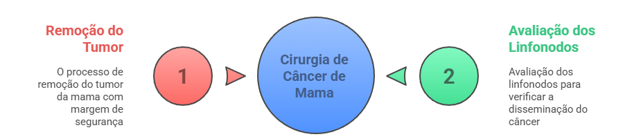 Pilares da cirurgia de câncer de mama: ressecção tumoral e análise de linfonodos.