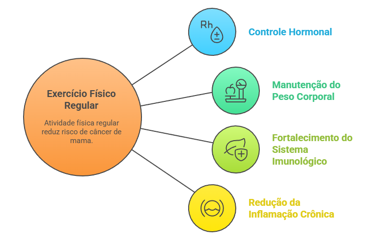 Mecanismos de prevenção do câncer de mama através de exercícios físicos: controle hormonal, peso saudável, sistema imunológico fortalecido e redução de inflamação