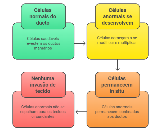Evolução do CDIS: células normais → modificação celular → multiplicação sem invasão → confinamento nos ductos.