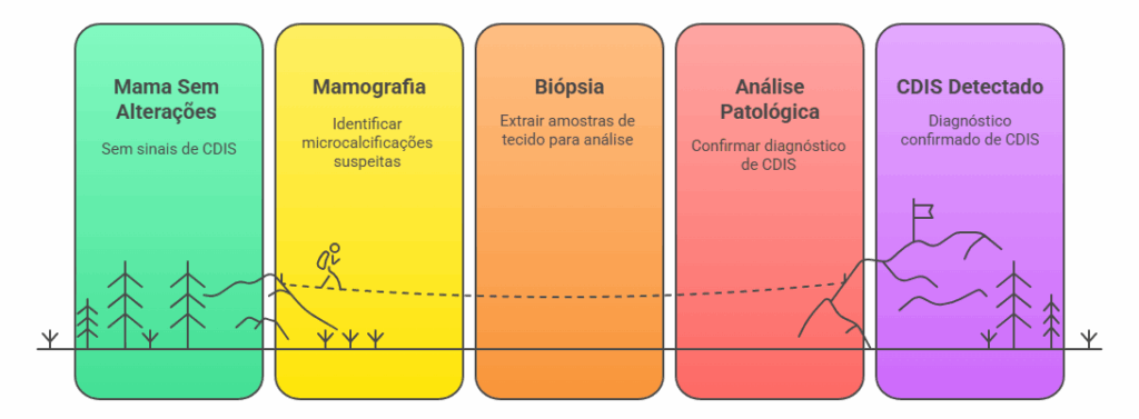 Fluxograma diagnóstico do CDIS: mamografia detecta microcalcificações, biópsia coleta tecido e análise patológica confirma carcinoma ductal in situ.