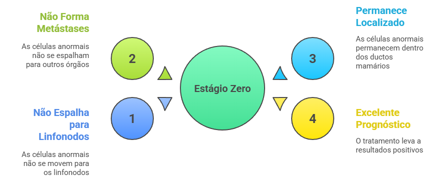 Características do CDIS estágio zero: sem metástases, sem invasão de linfonodos, localizado nos ductos e prognóstico positivo.