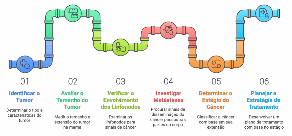 Etapas do estadiamento do câncer de mama: identificação do tumor, tamanho, linfonodos, metástases e classificação TNM.