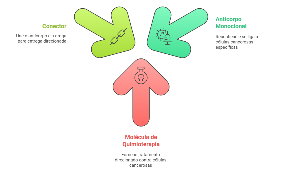 Anticorpos conjugados drogas ADC câncer mama - conector + anticorpo monoclonal + quimioterapia direcionada