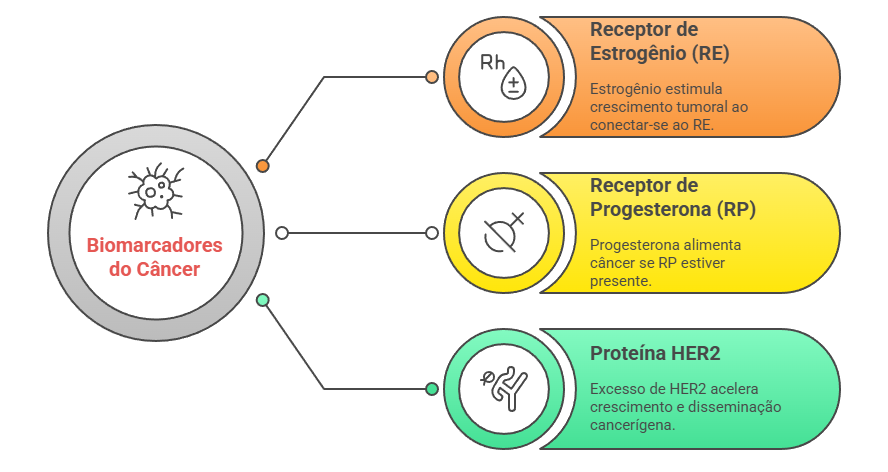 Infográfico dos 3 biomarcadores do câncer de mama: receptores de estrogênio (RE), progesterona (RP) e proteína HER2 com mecanismos de ação