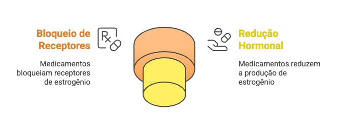 Mecanismos de ação da hormonioterapia: bloqueio de receptores de estrogênio e redução da produção hormonal para impedir o crescimento do câncer de mama.