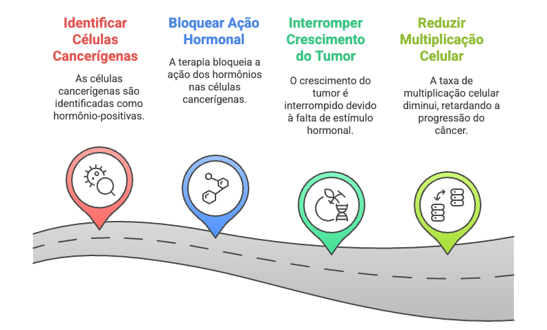 Fluxograma explicando o processo da hormonioterapia: identificação de células cancerígenas receptoras de hormônios, bloqueio da ação hormonal, interrupção do crescimento tumoral e redução da multiplicação celular.