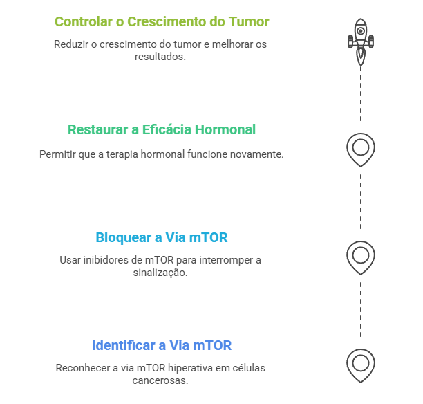 Fluxograma tratamento câncer mama resistência hormonal via mTOR - inibidor everolimus restaura eficácia terapêutica