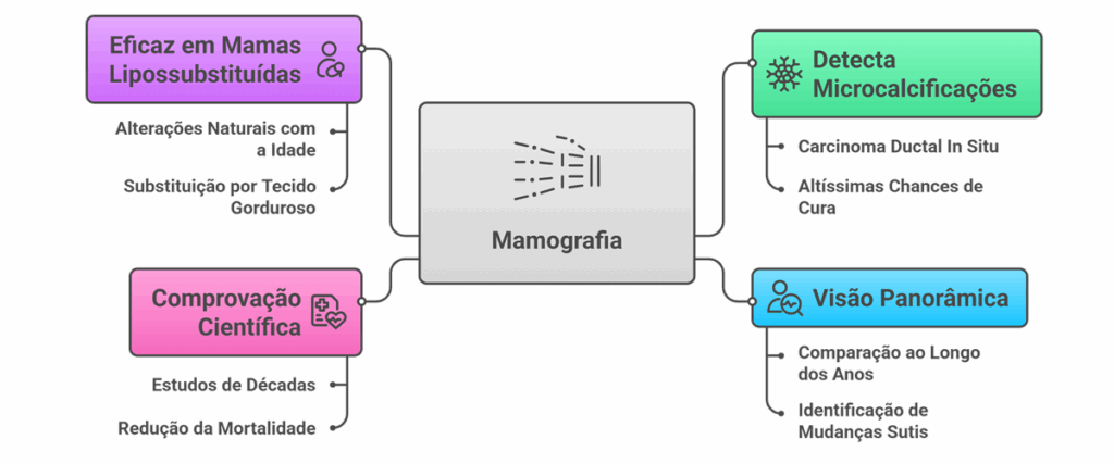 Fluxograma das vantagens da mamografia para detecção do câncer de mama, incluindo detecção de microcalcificações, visão panorâmica e comprovação científica.